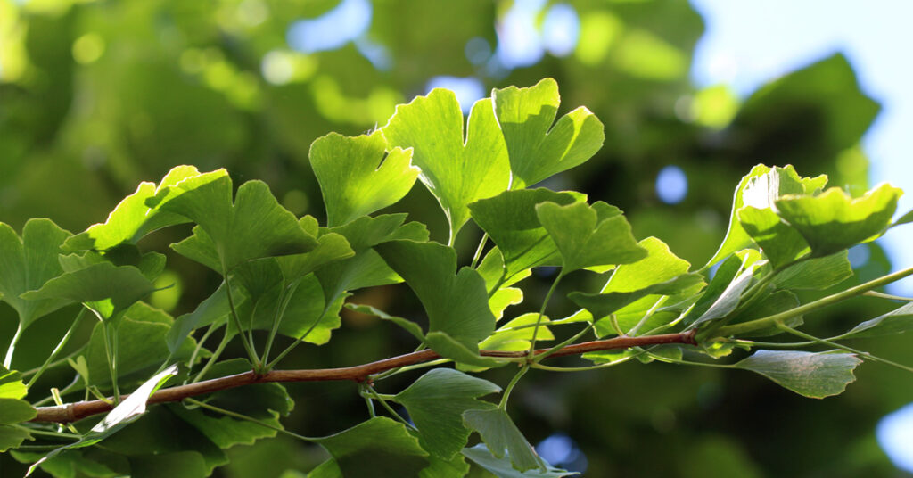 Shop & Webseiten - Update Jan 2022