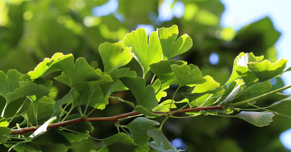 Shop & Webseiten - Update Jan 2022