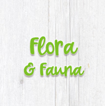 Kategorie 3D Druck "Flora & Fauna" - Vorschaubild