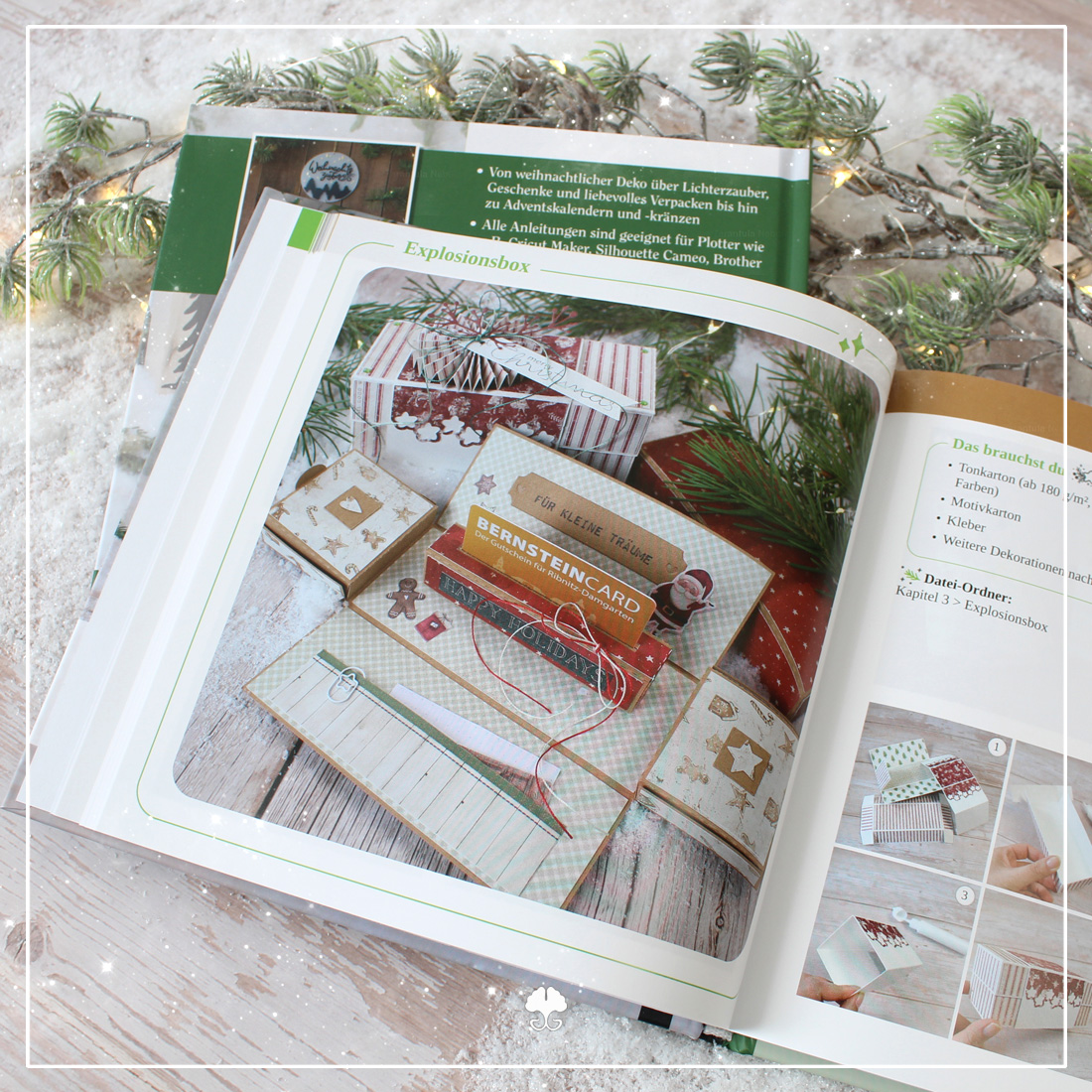 Vorschau des Projekts Explosionsbox" aus dem Buch "Plotten für Weihnachten".