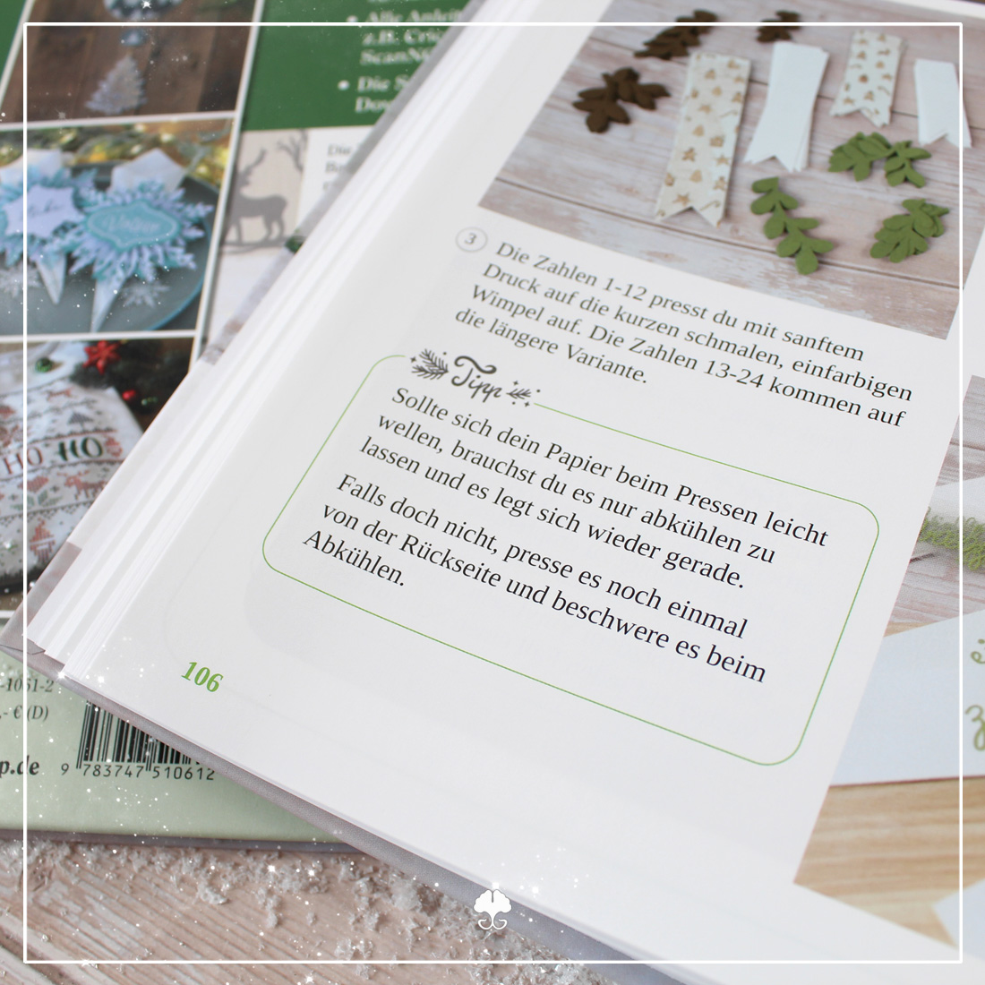 Detailansicht eines Tipp-Feldes aus dem Buch "Plotten für Weihnachten".