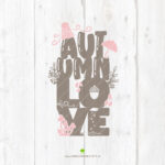 Digitale Vorschau der Datei Lettering "Autumnlove". Zu sehen sind die einzelnen Elemente, welche Teil des Downloads sind. Neben der Schrift selbst sind auch noch diverse Herbstmotive, wie z.B. Pilze, Mütze, Blätter und Eichel, abgebildet.