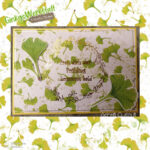 Ginkgo Blätter - Digistamp Set – Bild 12