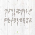 Basics "Große Wildblumen" - Single Line