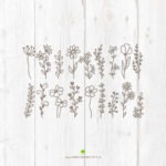 Basics "Wildblumen" v2 - Plotterdatei || SVG – Bild 2