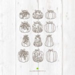 Floral "Kürbisse" - Laserdatei – Bild 2