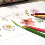 Blüten & Blätter - Digistamp Set – Bild 3