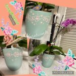 Sleeves "Schmetterlinge" - Plotterdatei – Bild 6