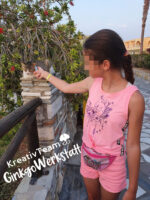 Spiritbirds "Flamingo" - Plotterdatei – Bild 11