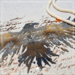 Splash "Rabe" - Plotterdatei – Bild 3