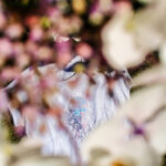 Strass "Qualle" - Plotterdatei – Bild 7