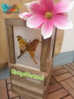 Splash "Schmetterling" - Plotterdatei – Bild 6