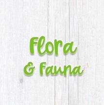 Kategorie-Vorschaubild: 3D Druck Flora & Fauna